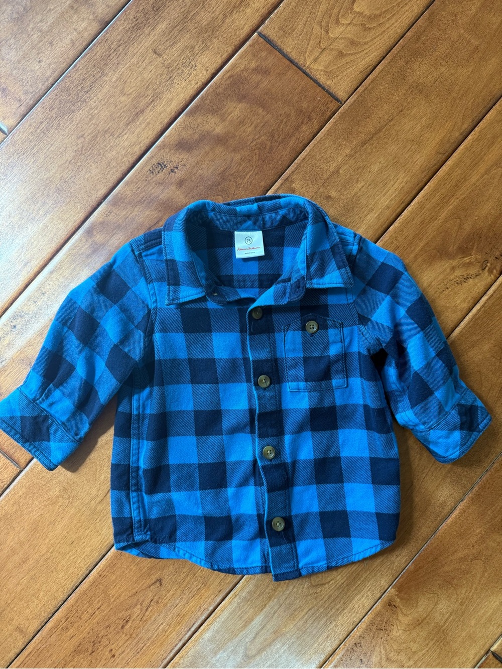 Hanna Andersson Blue and Black Plaid Button-Down Shirt